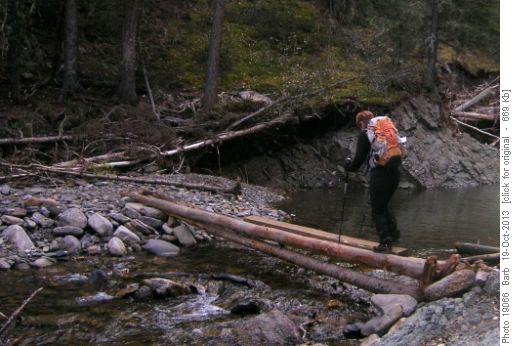 Makeshift Bridge