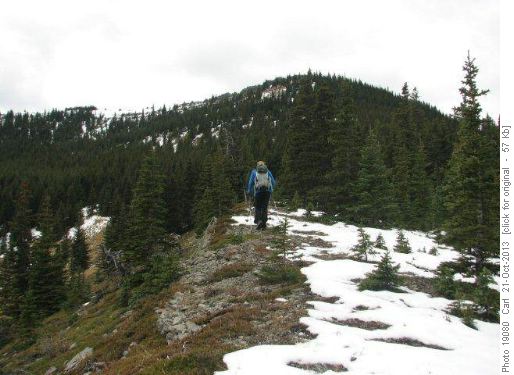 Open forest along upper approach ridge
