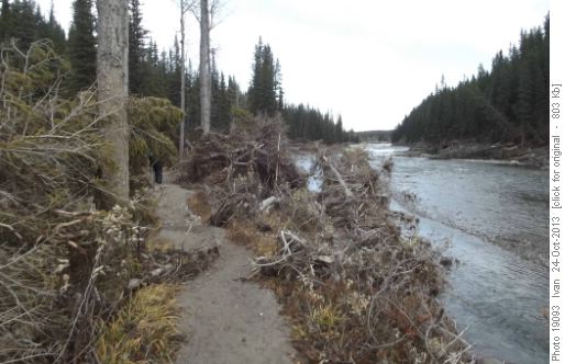 Riverview trail