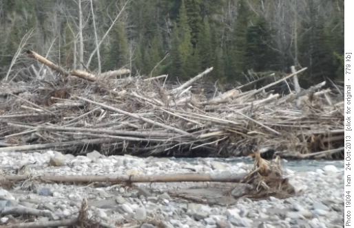 Elbow River