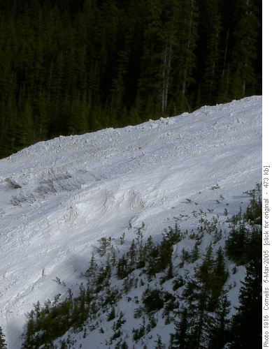 Close-up of avalanche bebris South of Wolverine / Bourgeau Ck