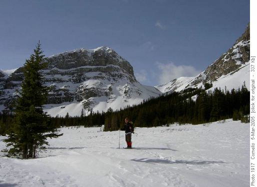 Danker in Bourgeau Lake Basin, Harvey Pass in background