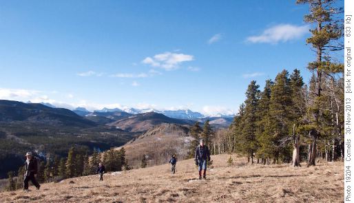 Ascending the Sandy McNabb Hill