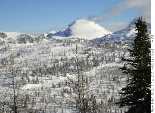 Goats Eye Mountain from Bourgeau Meadows lunch spot