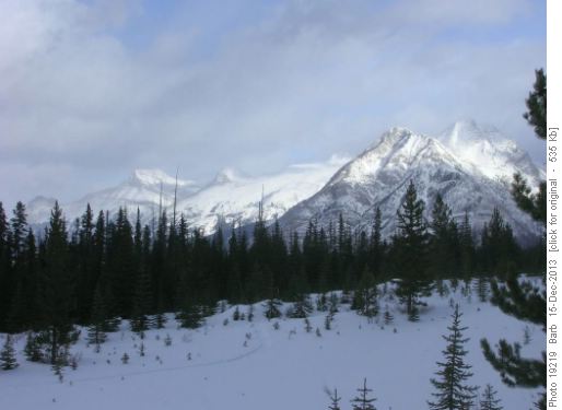 View from Shark Lake Trail