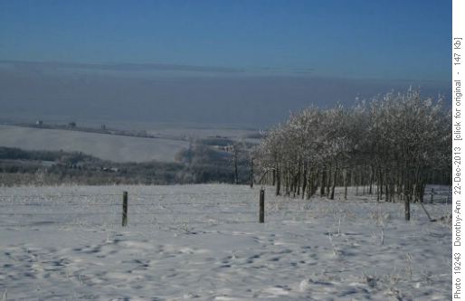 Looking west from the West View Point past frosted trees