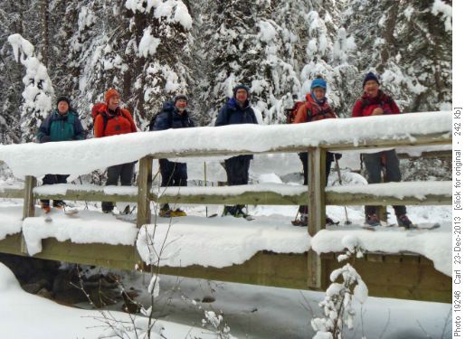 At the first bridge on Taylor Lake trail