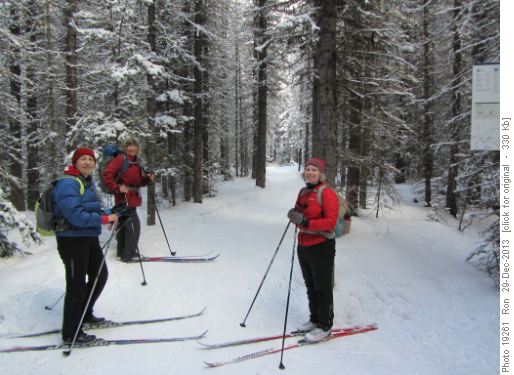 The gang in the snowy forest at Moraine Jct.