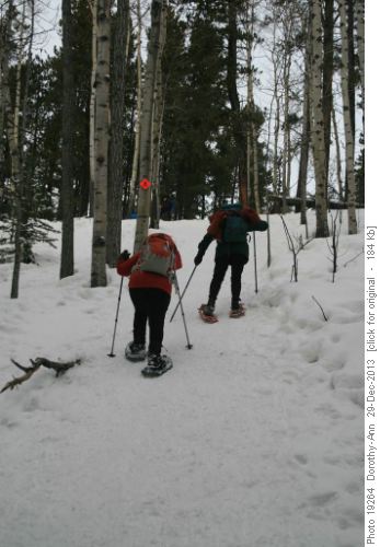 Going up one of the many hills on the Snowshoe Hare trail