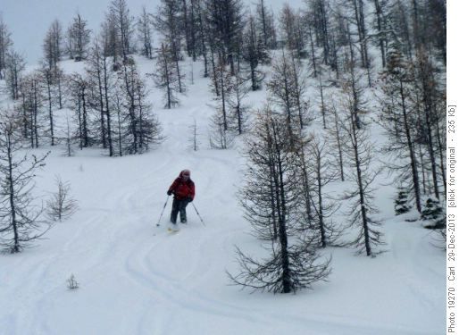 Skiing the glades on the other side of Healy Pass