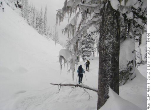 Hummingbird Pass