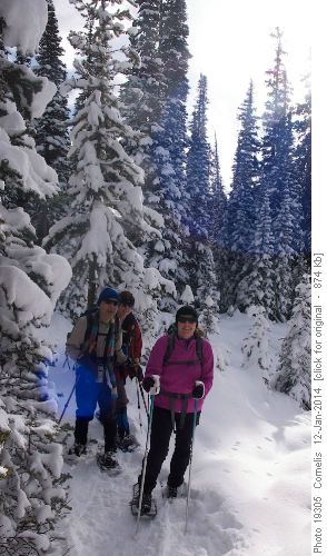 Mohsen, Barb and Teresa on the way up to Chester Lake