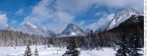 Approaching Chester Lake on the Snowshoe trail: Left Mt Galatea, centre Gusty Peak and right Mt Chester, all 3000m peaks.