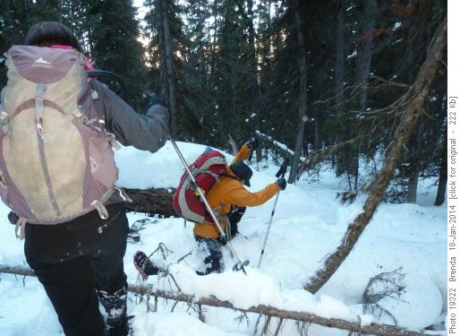 Brenda and Karen negotiating deadfall