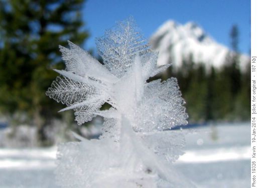 Mother Nature's geometry
