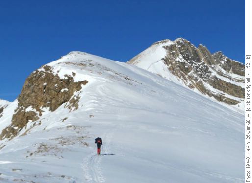 Manfred on the ridge above Katherine Lake