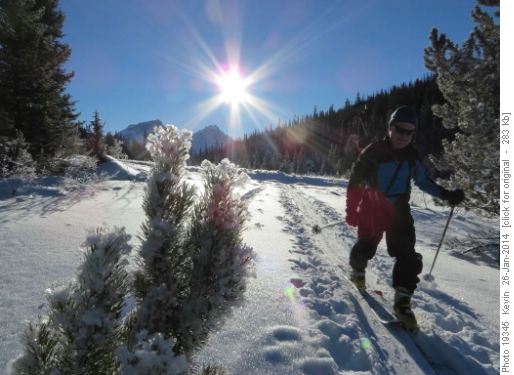 Doug heading up Helen Creek