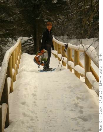 Brand new bridge - Jennifer