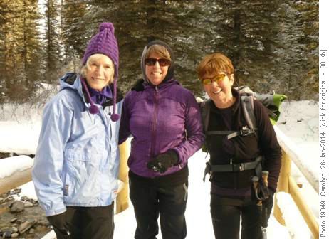 {731 Aldis Hallson} between {465 Carolyn Croasdale} & {627 Jennifer Sundgaard}