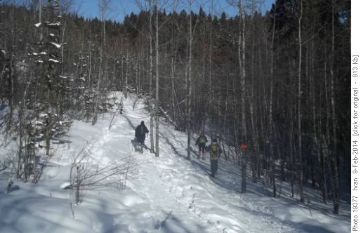 Snowshoe Hare trail