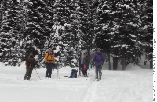 Taylor Lake/ Yoko, Damian, Jim, Dave/