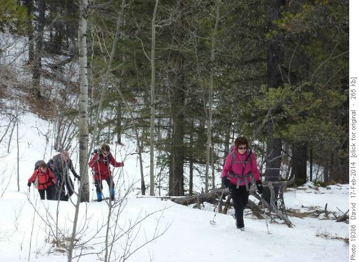 Winter hiking