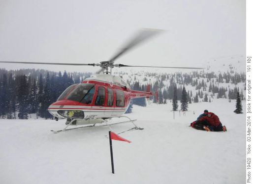Amiskwi backcountry ski trip Heli