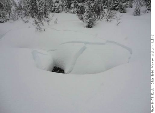 Paradise Creek Fracture