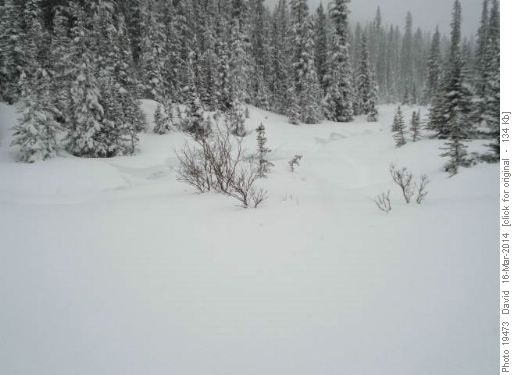 Propagating fractures along the bank of Paradise Creek