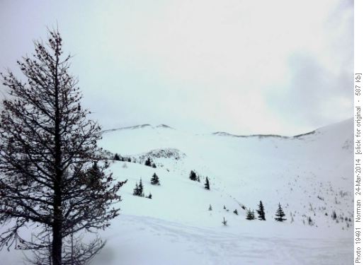 Looking back at Purple Peak