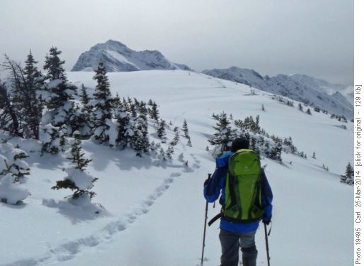 Following wolverine tracks along much of the top of the Monarch Ramparts
