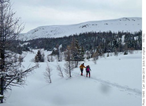 Last steps to the bottom of Healy Meadows