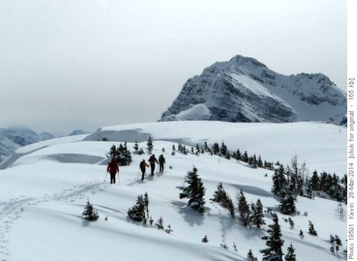 Traversing South towards The Monarch