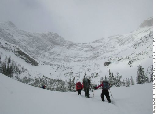 Approaching the glades