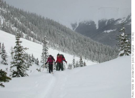Winter wonderland