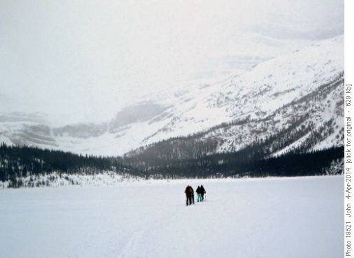 Heading across Bow lake into the blowing snow.