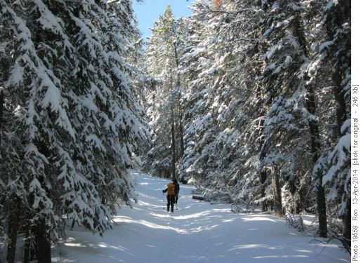 Snowy trail to Barrier Lookout