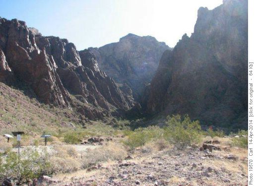 Looking up Palm Canyon