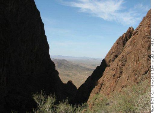 Looking down Palm Canyon