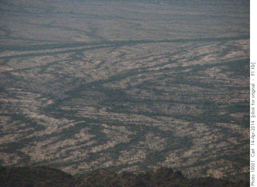 Green pattern of washes on desert