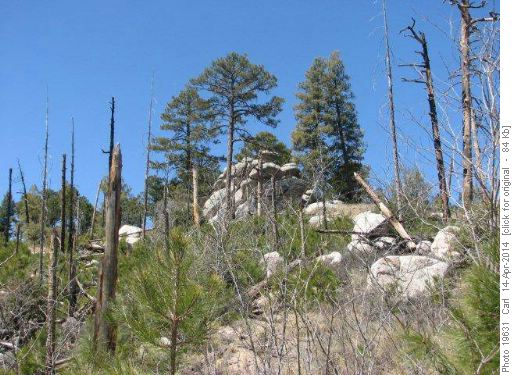 Santa Catalina Mountains