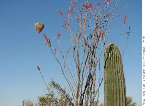 Morning balloon at Tucson Mountain campground