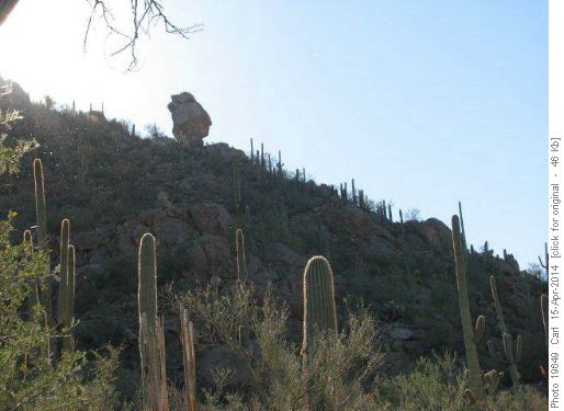 Saguaro Cactus and Balanced Rock