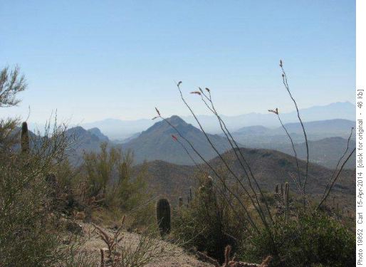 View from Wasson Peak summit
