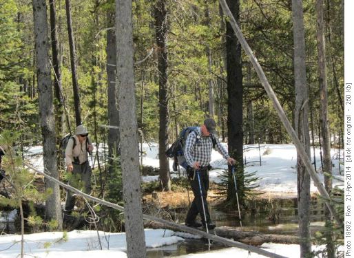 {1551 Barry Schur} gingerly crosses a narrow log over a flooding old road