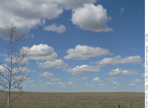 Ciel Magritte