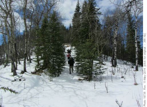 Descending from Mesa Butte