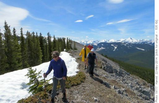 Exploring the ridge descending to Canyon Creek.
