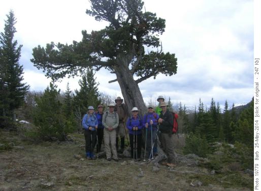 Group at Boundary Pine