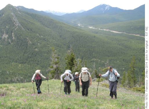 Junction hill S.ridge